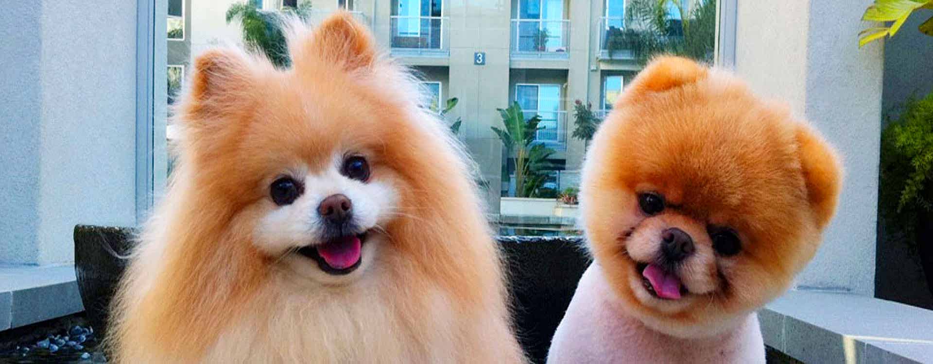 En İyi Dostlara, En İyi Hizmet