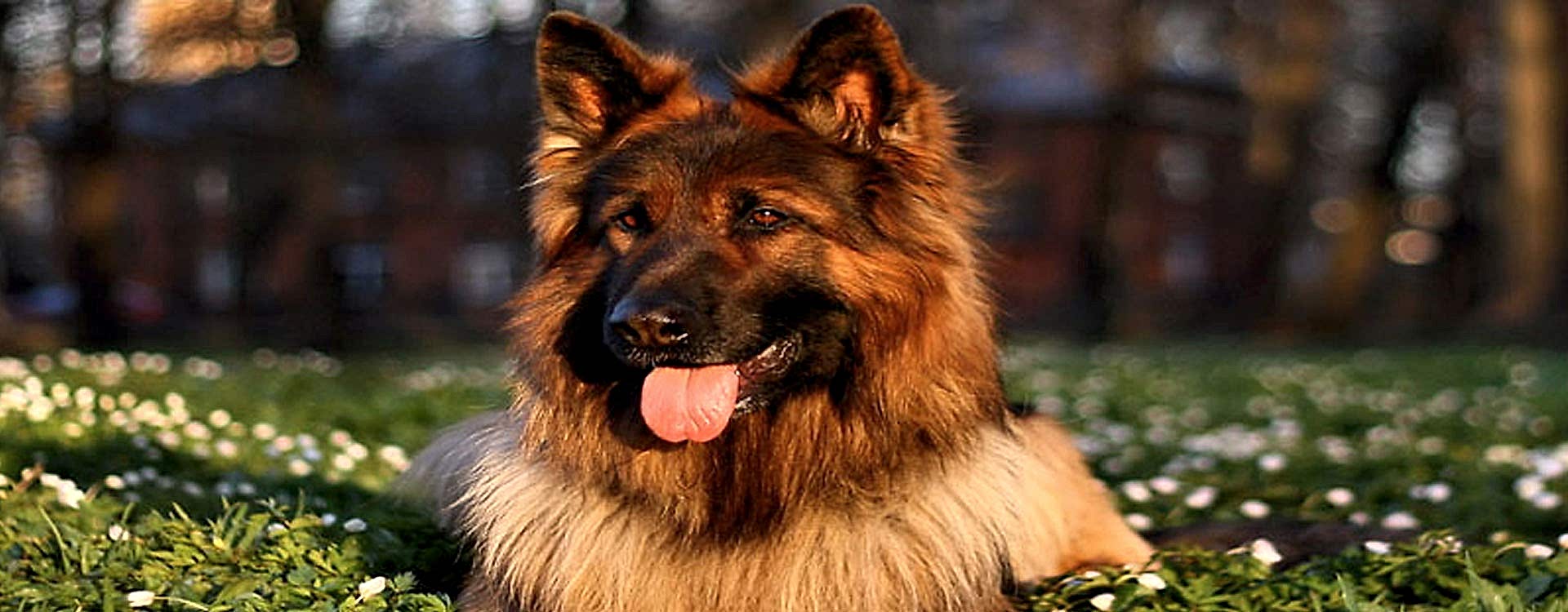 En İyi Dostlara, En İyi Hizmet